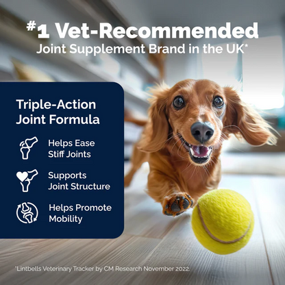 YuMOVE Joint Supplement for Younger Dogs I Tablets